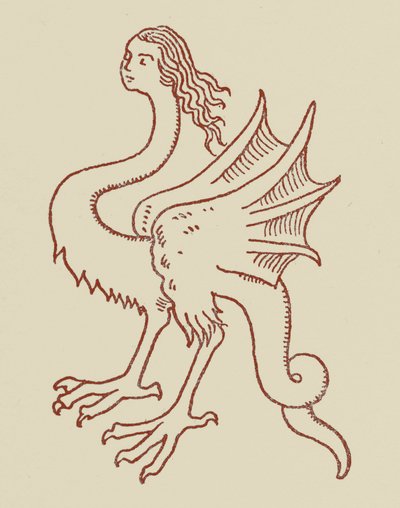 Un serpent avant la malédiction - English School
